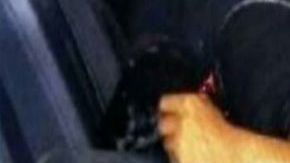 Sicarios del Cártel del Golfo terminaron así tras atacar a militares