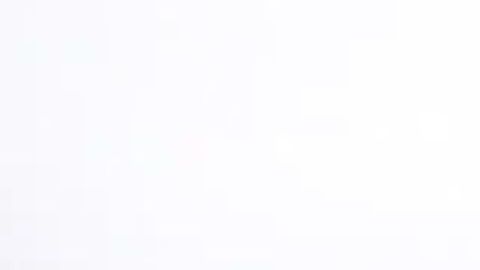 El equipo fue parte del desfile militar en Francia.