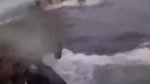 Las autoridades incautaron unas 18 toneladas de cocaína en el submarino.