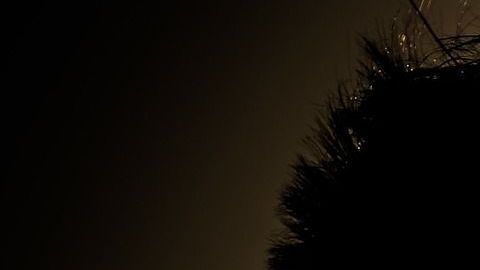 Toda persona sueña en algún momento con una pareja perfecta.