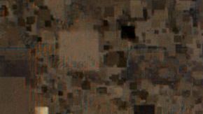 David Carroll en "The great hack"