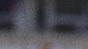 Los Tigres de la UANL arrancaron a paso de campeón el Apertura 2019.