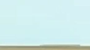 Los hechos se registraron en el condado de DeSoto.