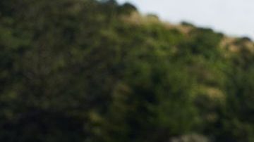 Tom Steyer es el más reciente aspirante a la candidatura demócrata por la Presidencia.