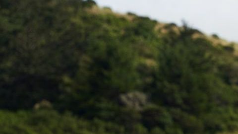 Tom Steyer es el más reciente aspirante a la candidatura demócrata por la Presidencia.