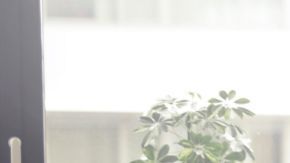 Hay quienes dicen que podrías ser mucho más productivo trabajando menos horas.