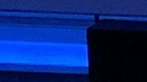 El presidente Donald Trump ofrece un mensaje de bienvenida a los nuevos ciudadanos.