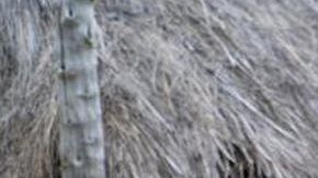 Gordon Ramsay en un episodio de Uncharted.