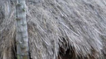 Gordon Ramsay en un episodio de Uncharted.