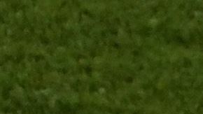 Megan Rapinoe anotó el primer gol de Estados Unidos en la Gran Final.