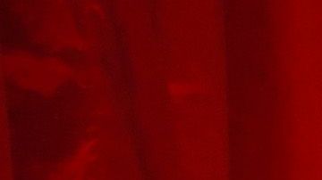 Las jugadoras de la Selección Femenina de Estados Unidos han festejado a lo grande su histórico triunfo en Francia 2019.