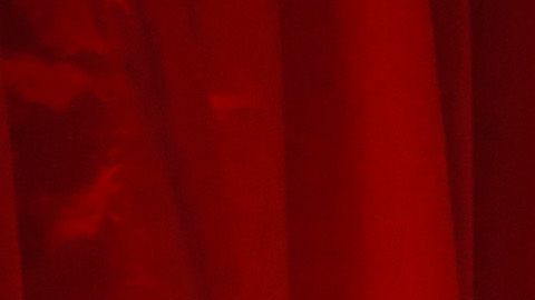 Las jugadoras de la Selección Femenina de Estados Unidos han festejado a lo grande su histórico triunfo en Francia 2019.