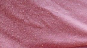 Los billetes fueron impresos en seis denominaciones.