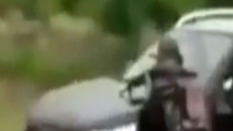 VIDEO: Los Viagras se mofan de Guardia Nacional y del CJNG por trocas monstruo