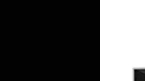 El instrumento en mención.