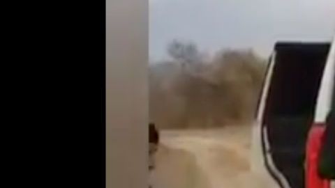 VIDEO: A nalgadas con tabla presuntos policías castigan a joven ladrón