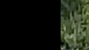 VIDEO: Integrantes del CJNG se pasan de copas y este fue el desenlace
