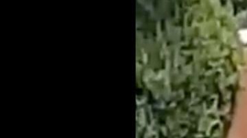 VIDEO: Integrantes del CJNG se pasan de copas y este fue el desenlace