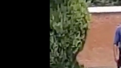 VIDEO: Integrantes del CJNG se pasan de copas y este fue el desenlace