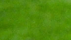 La magia de Xavi Hernández enfundado en la camiseta del Barcelona y de la Selección Española de Fútbol será inolvidable para los fanáticos del fútbol.