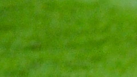 La magia de Xavi Hernández enfundado en la camiseta del Barcelona y de la Selección Española de Fútbol será inolvidable para los fanáticos del fútbol.