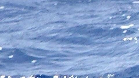 Photo © 2019 Backgrid UK/The Grosby Group
Spain: Lagencia Grosby
June 17, 2019
CAPRI, ITALY  - 

*PREMIUM EXCLUSIVE*  - The Mexican singer and actor Diego Boneta and the Chilean actress Mayte Rodriguez spend some time together on a romantic holiday on the island of Capri.
The loved up couple sizzled in the Italian sunshine with Diego going shirtless and Mayte showing off her skimpy red bikini on their boat.

Pictured: Diego Boneta, Mayte Rodríguez