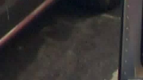 A las 2:30 p.m. dos oficiales vestidos de civil vieron a Zaragoza caminando por una avenida de Canoga Park.