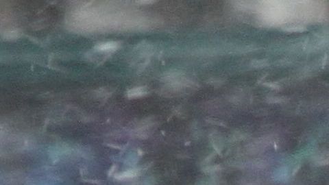 Nieve empieza  a caer en Nueva York con bajas temperaturas.