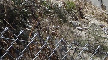 Indigentes que viven en casas rodantes en North Hollywood.