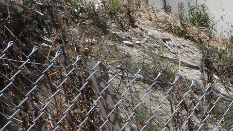 Indigentes que viven en casas rodantes en North Hollywood.