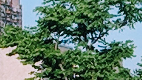 Acampar al lado del Lago Michigan es una experiencia singular.