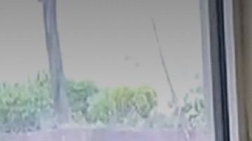 Louise Signore está orgullosa de sus raíces italianas