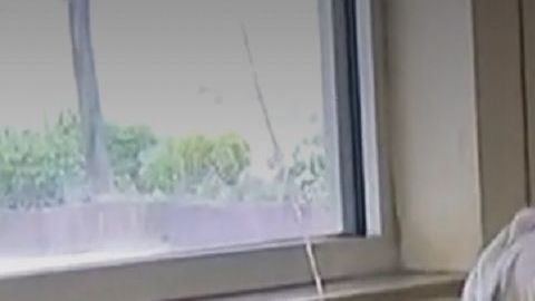 Louise Signore está orgullosa de sus raíces italianas