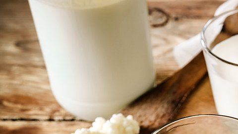 Los granos de kéfir contienen cerca de 400 millones de microorganismos vivos (la mitad de ellas pertenecen a los Lactobacillus). 