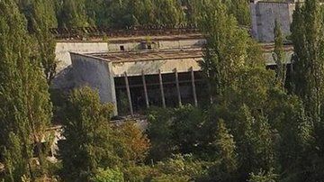 ¿Cómo logró proliferar la vegetación en Chernóbil tras la contaminación?