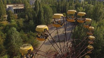 ¿Cómo logró proliferar la vegetación en Chernóbil tras la contaminación?
