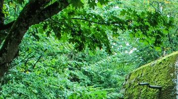 El concreto reforzado es tan masivo que algunas estructuras sobrevivieron.