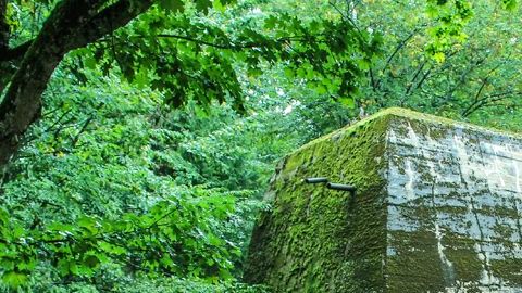 El concreto reforzado es tan masivo que algunas estructuras sobrevivieron.