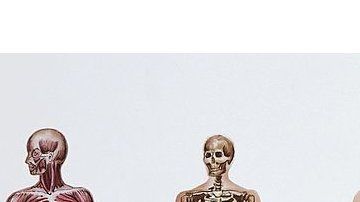 ¿Qué sucede cuando un cuerpo es donado a la ciencia médica?