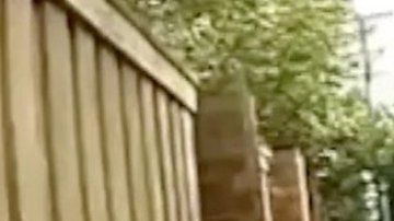 El incidente fue grabado por la cámara que llevaba el policía.