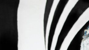 ¿Cuál es tu teoría conspirativa favorita?