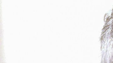 El empresario tenía 66 años.