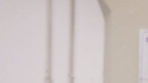 Alberto Fernández ganó las primarias.