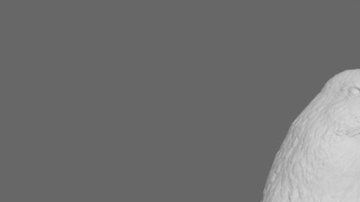 El enorme pingüino, reconstruido por el Museo de Canterbury.