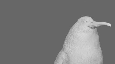 El enorme pingüino, reconstruido por el Museo de Canterbury.