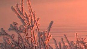 Encontraron más de 10,000 partículas de plástico por litro de nieve.