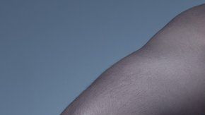 Cauda equina significa "cola de caballo" en latín,