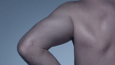 Cauda equina significa "cola de caballo" en latín,