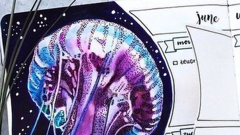 Diseño de Susanne, Alemania.