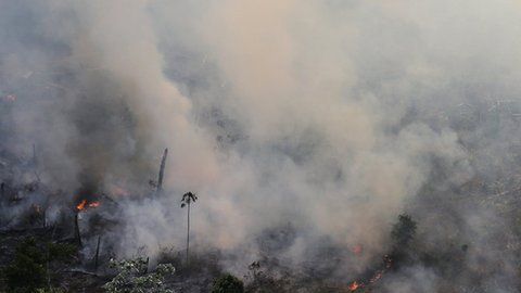 El Inpe dice que ha detectado más de 72 mil incendios en lo que va de 2019.